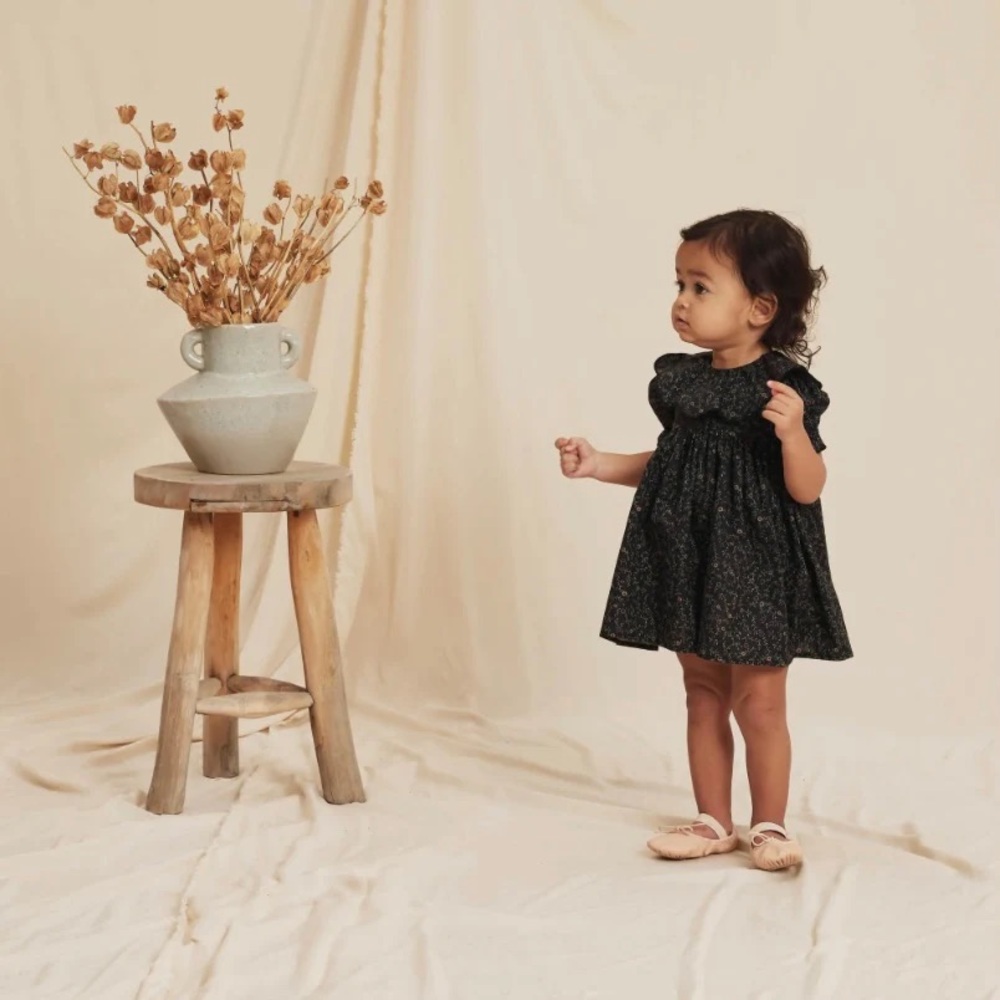 Noralee Joanie Dress Dark Floral